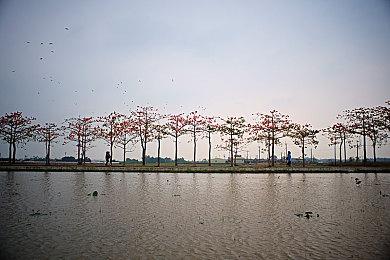 《太鼓达人：咚咚雷音祭》登陆主机和PC 11月7日发售